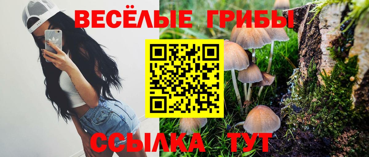 Псилоцибиновые грибы ЛСД Пугачёв