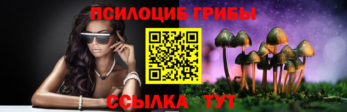 Галлюциногенные грибы мухоморы  Галлюциногенные грибы MAGIC MUSHROOMS  Пугачёв  Вход с VPN 